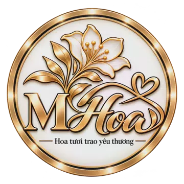 Shop hoa tươi Phường Phong Thái Huế - Chọn hoa gửi đúng tâm tình